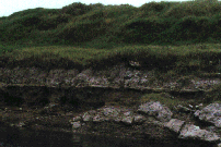 Sitio donde se encontraron fsiles